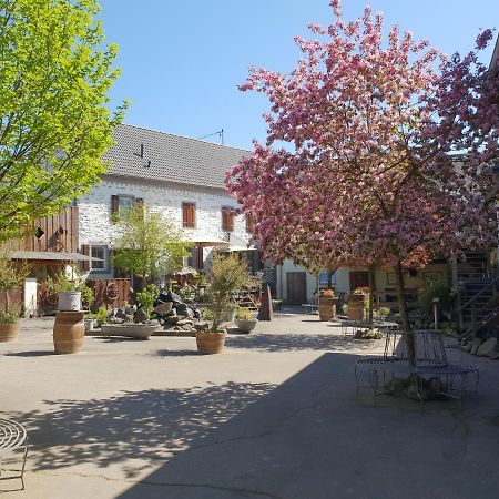 Besondere Ferienwohnung Spirit Auf Idyllischem Reiterhof Nahe Burg Eltz Münstermaifeld Eksteriør billede