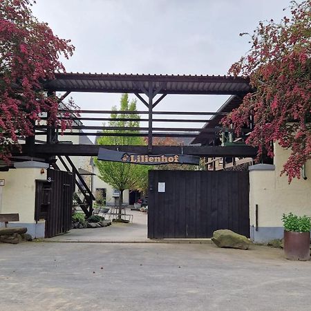 Besondere Ferienwohnung Spirit Auf Idyllischem Reiterhof Nahe Burg Eltz Münstermaifeld Eksteriør billede