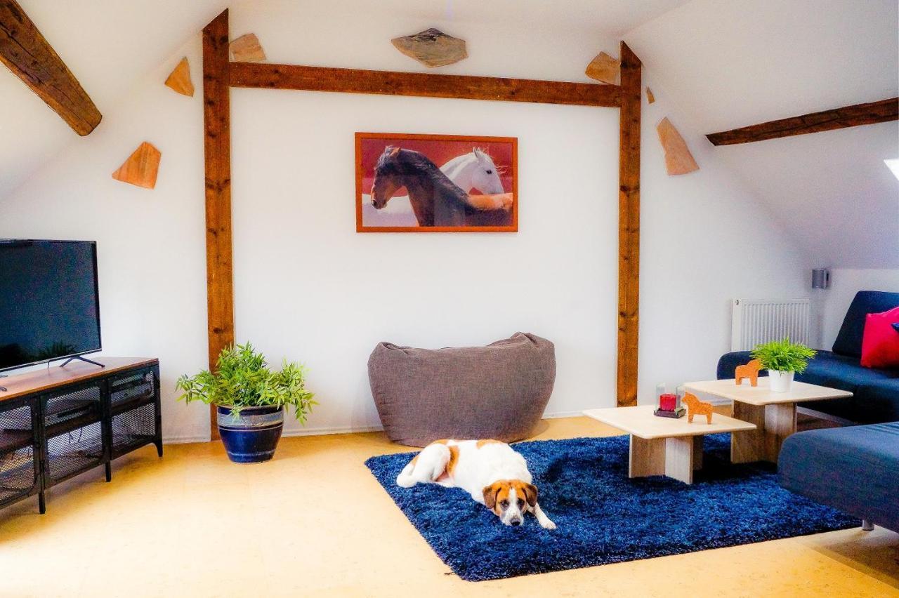 Besondere Ferienwohnung Spirit Auf Idyllischem Reiterhof Nahe Burg Eltz Münstermaifeld Eksteriør billede
