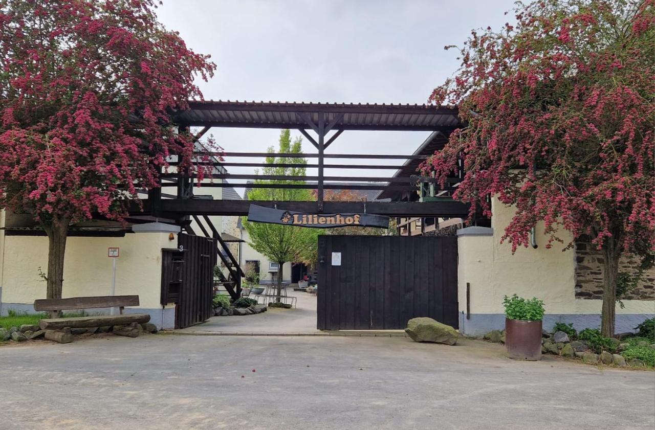 Besondere Ferienwohnung Spirit Auf Idyllischem Reiterhof Nahe Burg Eltz Münstermaifeld Eksteriør billede